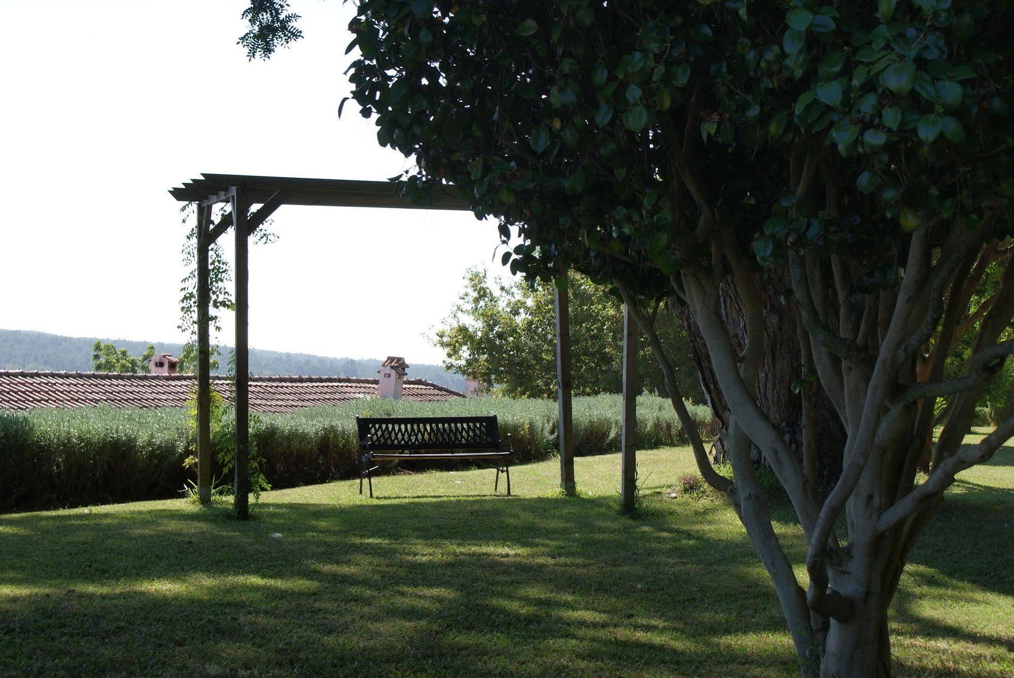 Quinta Do Paco D'Anha Guest House Viana do Castelo Exterior photo